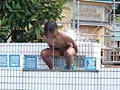 人犬使いの○年！！-6