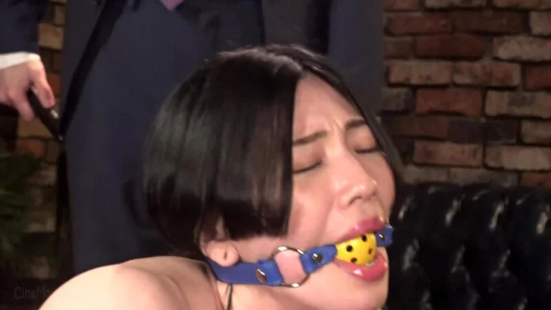 美畜秘書の系譜 美尻酷虐マゾペット 響かれん-19