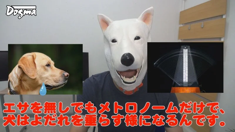 【※悪用厳禁】通電ショック洗○実験 冬愛ことね-1