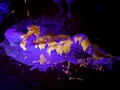 メッシーアイランド アンソロジー Vol.2-1