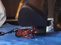 みくちゃんのショートブーツでザリガニクラッシュ1