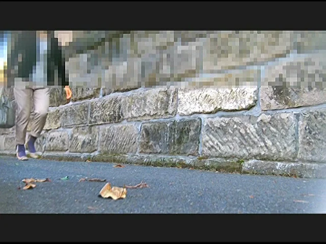 お嬢様がトンボとカタツムリを踏みにじって歩き去る！-1