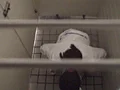 全国○撮大図鑑 女子トイレ全集1-3