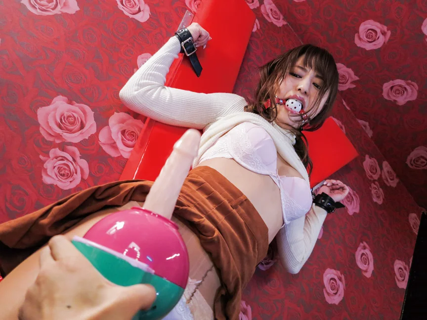 Fucking Machine Collection-8