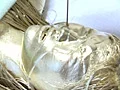ウエット＆メッシー6人 ベスト名場面総集編2-4