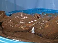 ウエット＆メッシー6人 ベスト名場面総集編2-9
