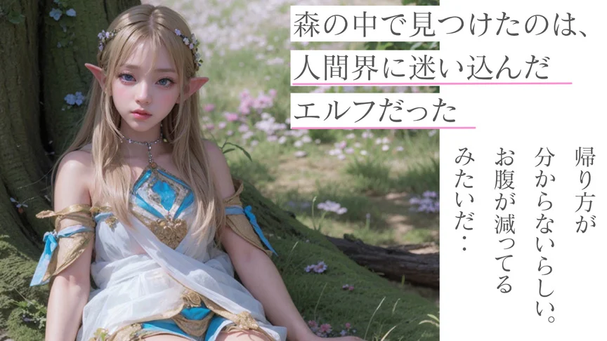 AI背徳エルフ 実世界に迷い込んだつるぺた妖精AINALIND-1