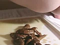 萩奈菜摘の便意を催したらお店に来ます-3