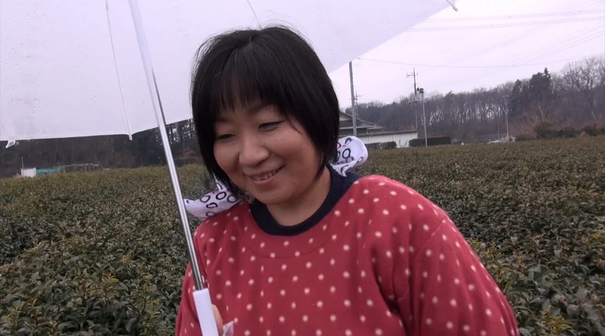 狭山の茶畑でお茶を摘むお母さん-1