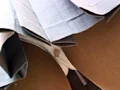 放尿伝4-8