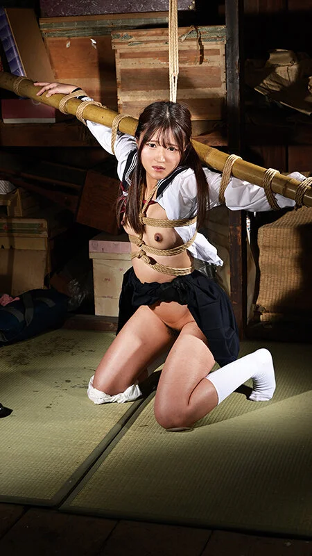 麻縄遊戯 古びた蔵の中で、密かにマゾ快楽に堕ちていく年端もいかぬ娘たち 十八話収録8時間BEST-11