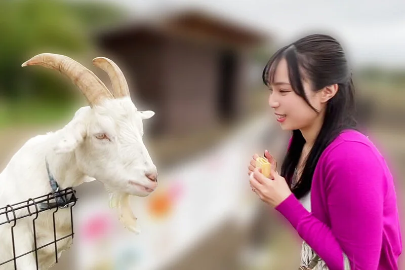 いつでもどこでも人妻オナホ したがり温泉旅行 藤原真帆-3