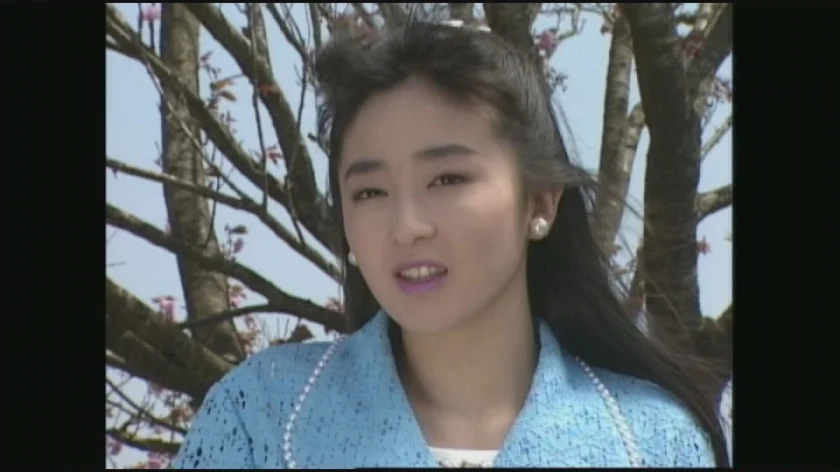 大人のAVベストセレクション vol.47 1990年代名作ドラマ編4 10作品本編まるごと収録-4