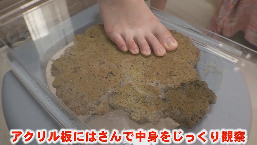 今日たくさんウンチでるかな… 小島りりか-11