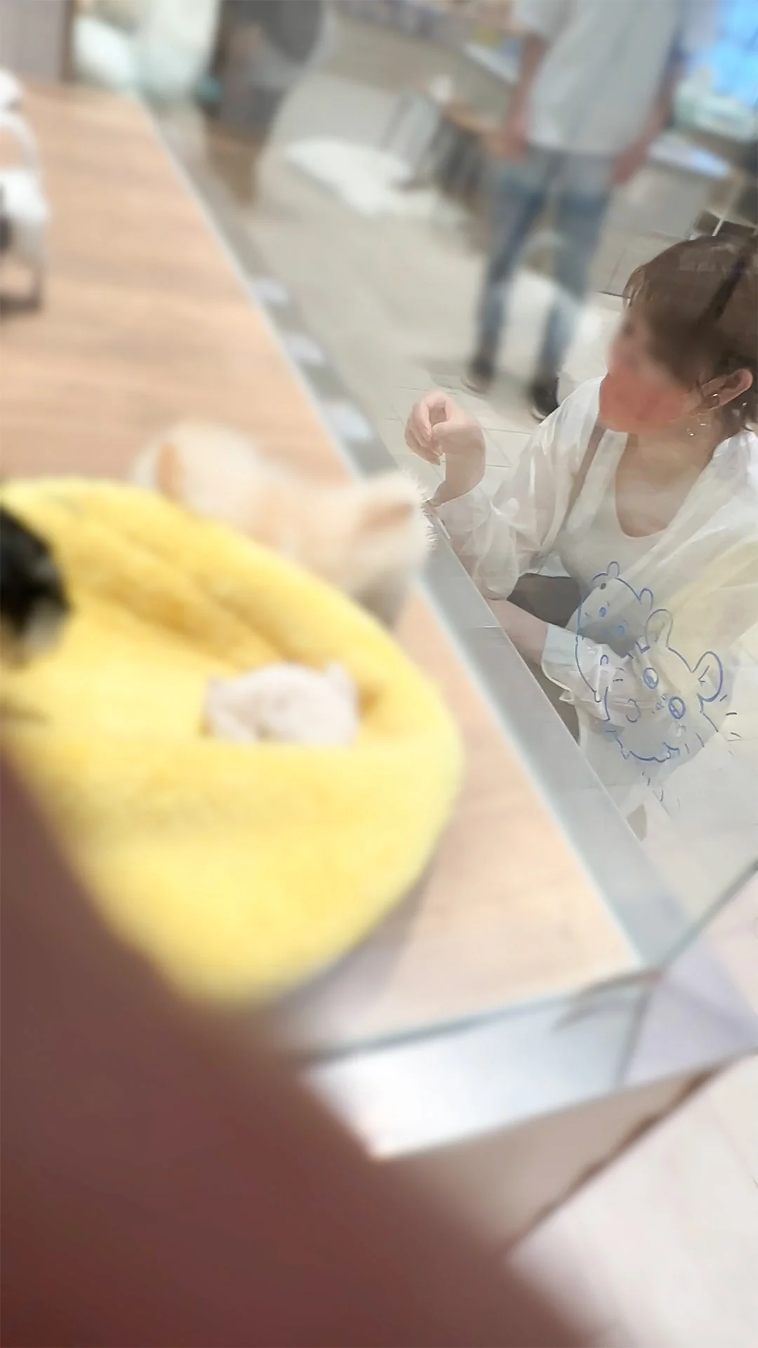 【店内接触vol.3前編】「やめて…っ」ペットショップにいた長身スレンダー美女を壁際に追い込み、薄着越しに揉みしだくおっぱいチ○-1